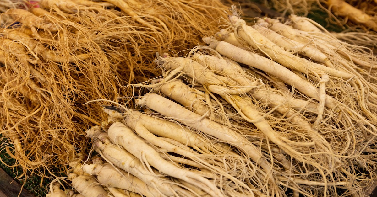 3 Powerful Indigenous Herbs From North America The Sacred Science The