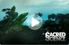 The Sacred Science Movie