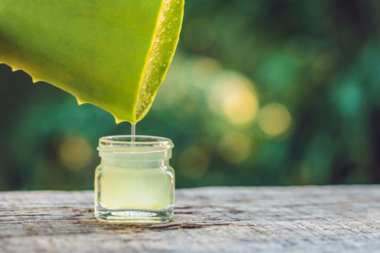 Aloe Gel Dripping from the Leaf into a Jar