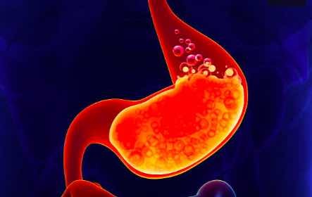 Digestion1 Digestion1