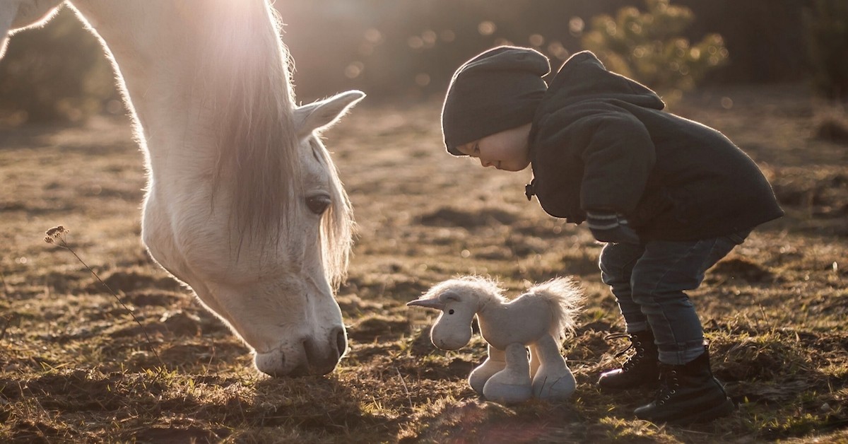 Small Boy Playing with Real Horse and Toy Horse