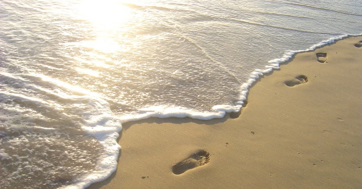 Footprints on Sand by the Sunlit Ocean Shore
