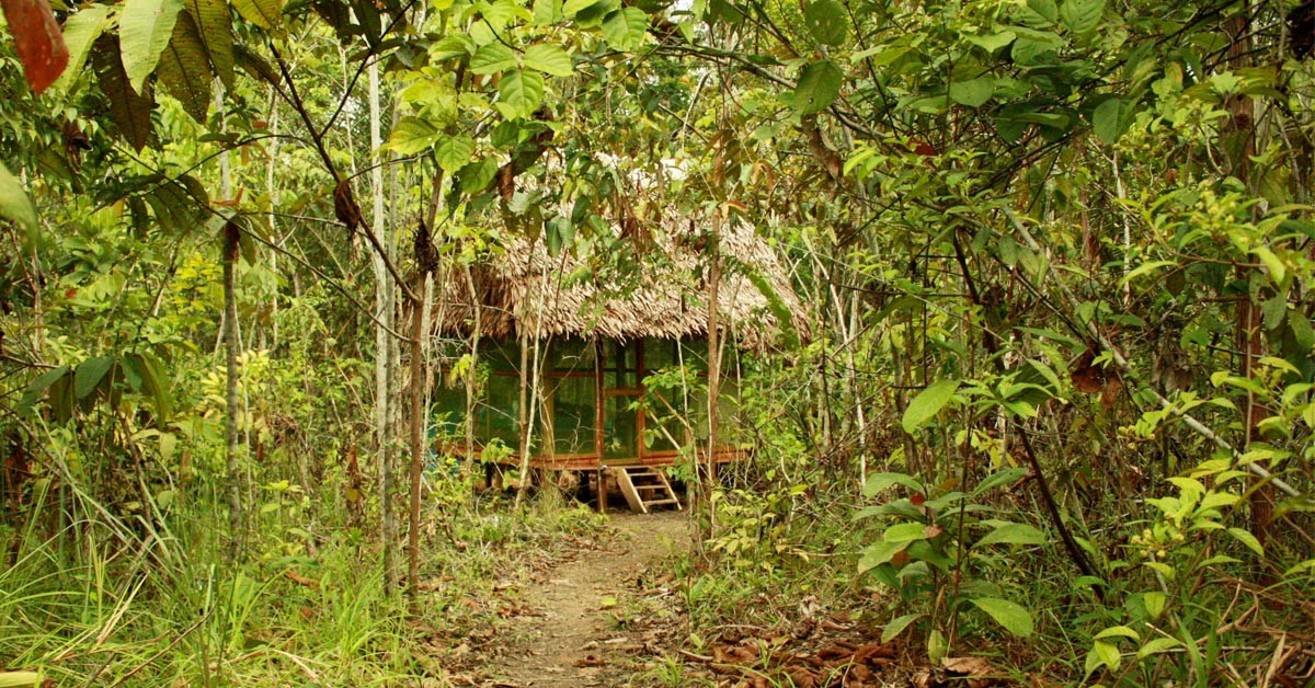 Maloka Thatched Roof Hut in Jungle