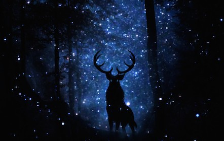 Sandra Session 1 - Stag Spirit_v2 Sandra Session 1 - Stag Spirit_v2