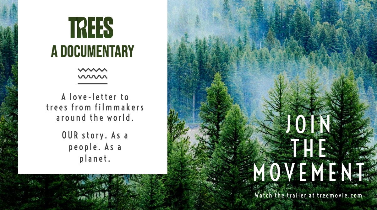 2 Sacred Medicine Trees of North America - The Sacred Science The ...