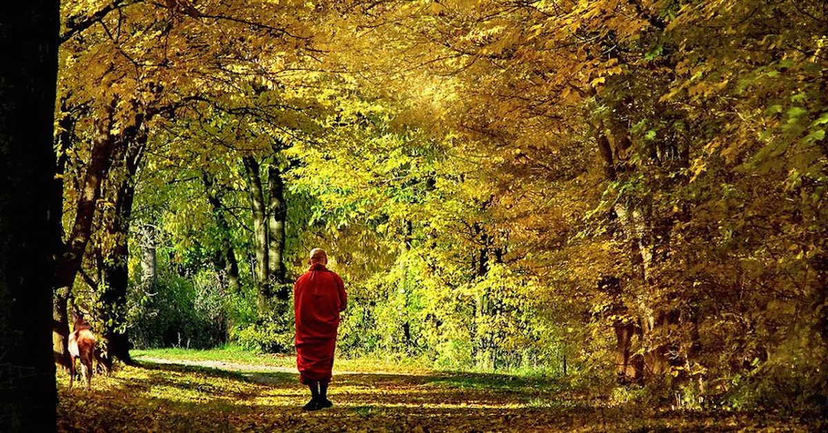 A Tibetan Mystic Shares The Path Of Transformation - The Sacred Science