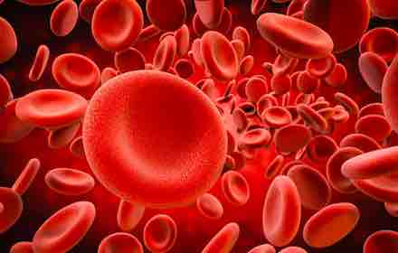 blood1 blood1