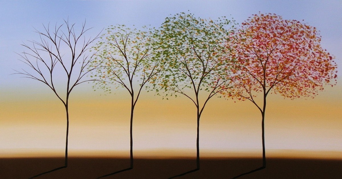 A Tree in Each Season and the Leaves to Show It