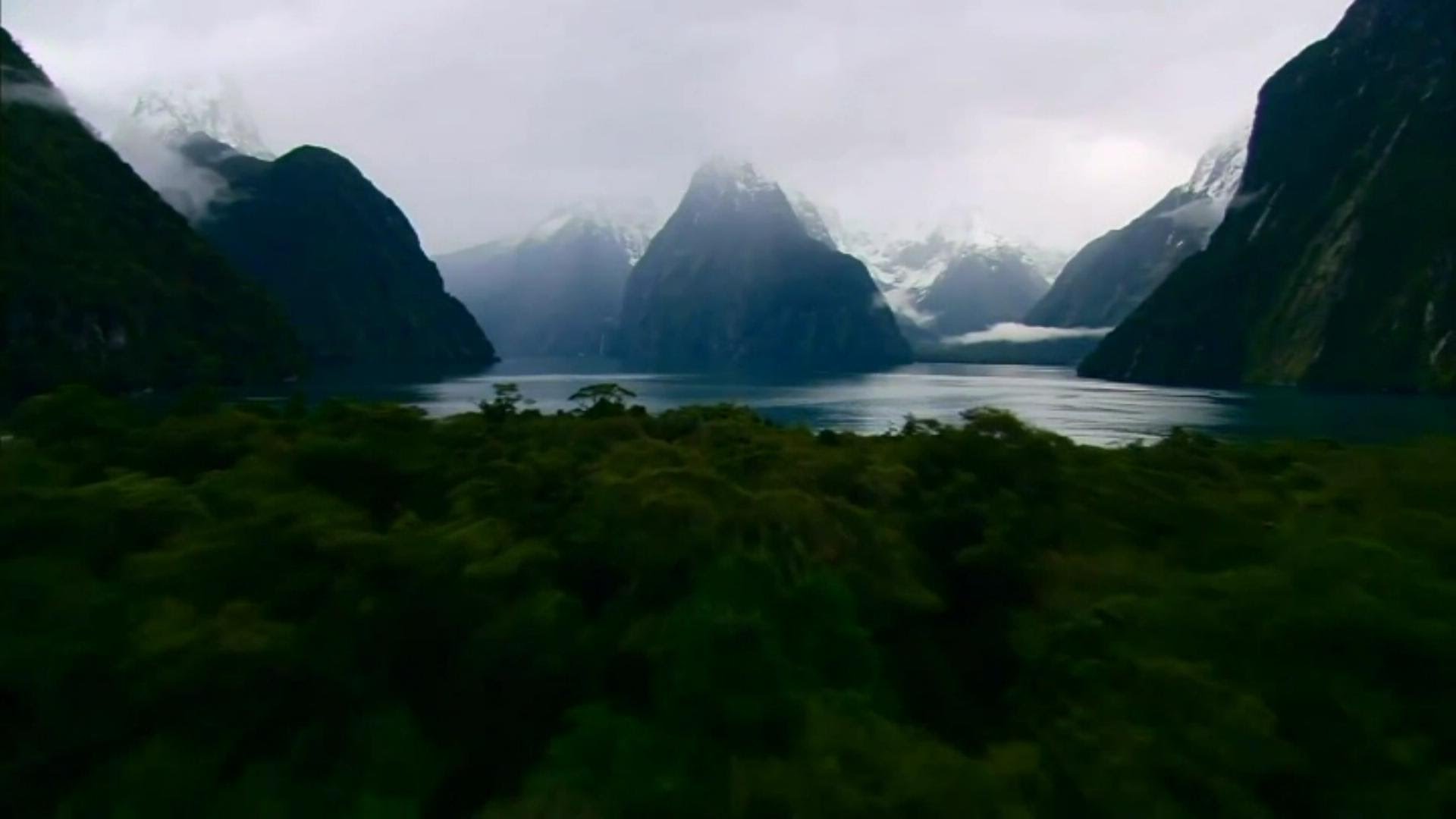 Scene of Jungle Leading to an Ocean and Snow-Capped Mountains in the Clouds