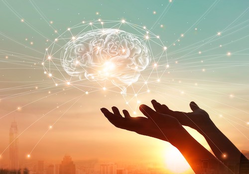 Abstract palm hands touching virtual brain with network connections, innovative technology in science and communication concept Abstract palm hands touching brain with network connections, innovative technology in science and communication concept