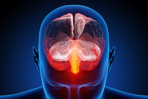 Human brain illustrated with millions of small nerves Human brain illustrated with millions of small nerves - Conceptual 3d render