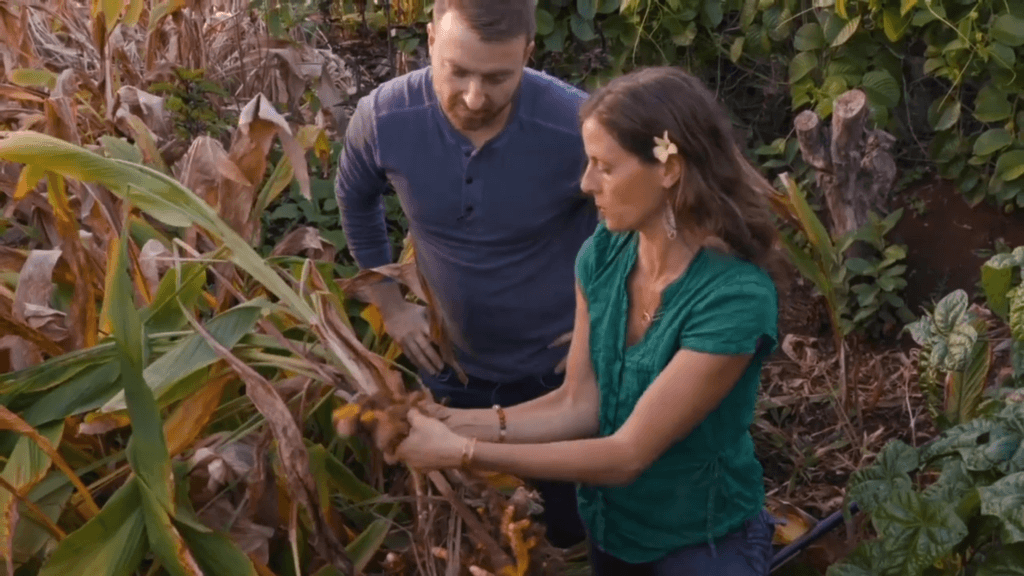 Woman Showing Turmeric Roots to a Man