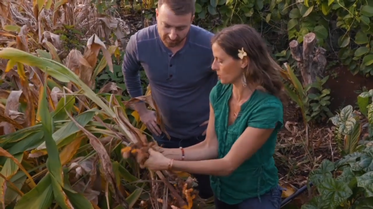 Woman Showing Turmeric Roots to a Man