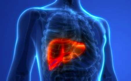 liver1 liver1