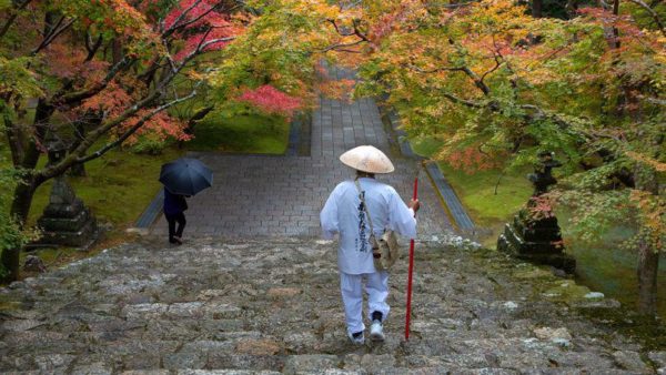 Person Walking Down Stone Steps Towards Tree Covered Path