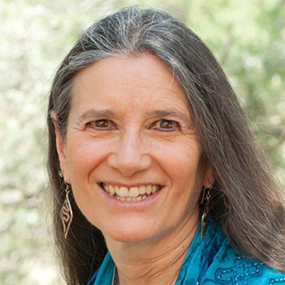 Sandra Ingerman Sandra Ingerman