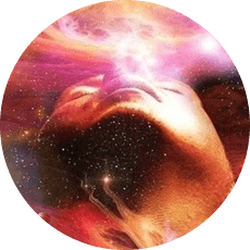 shamanicdreamingbonus shamanicdreamingbonus